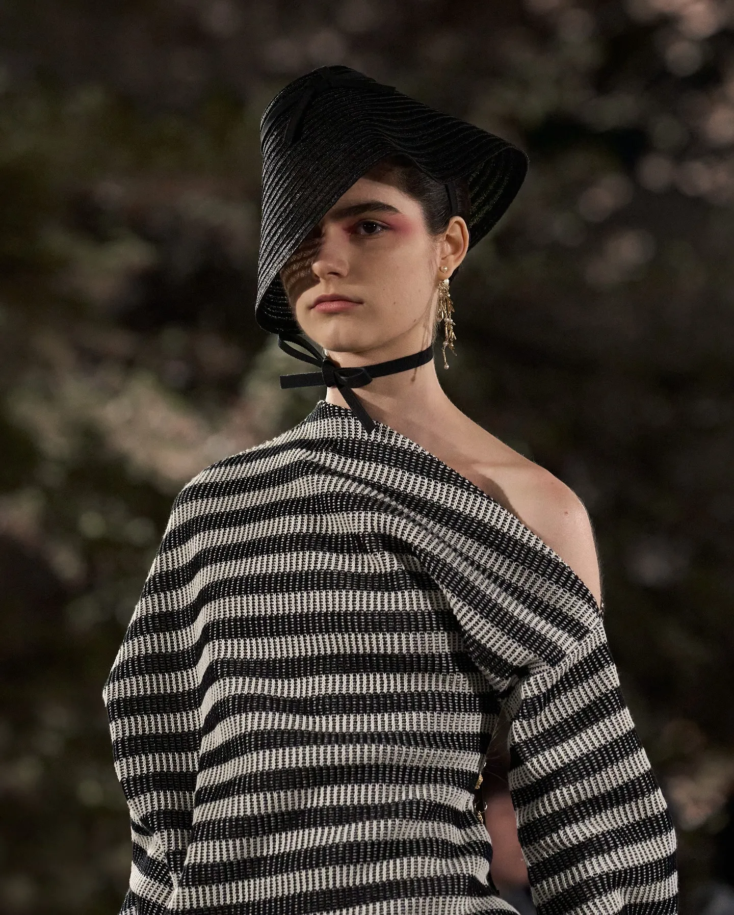 Dior Collaboration